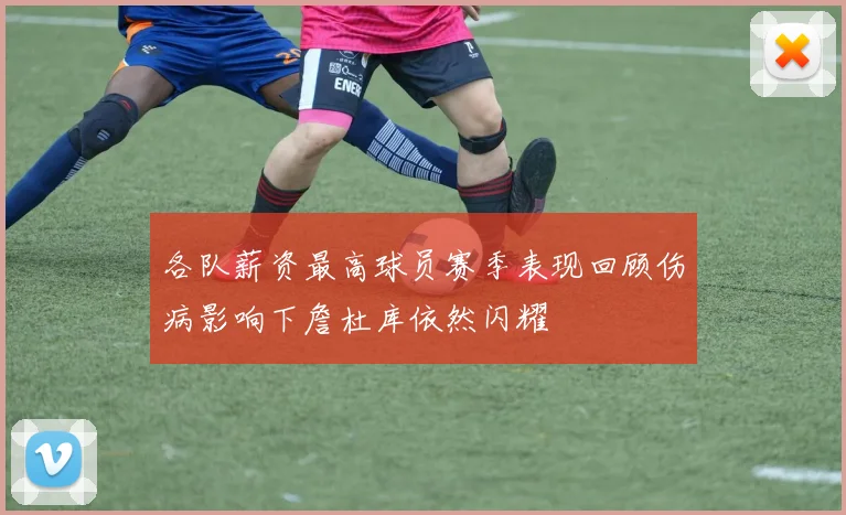 各队薪资最高球员赛季表现回顾伤病影响下詹杜库依然闪耀