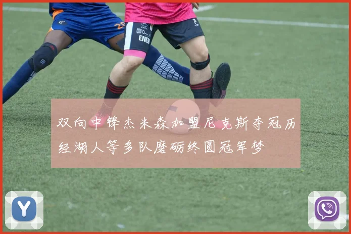 双向中锋杰米森加盟尼克斯夺冠历经湖人等多队磨砺终圆冠军梦